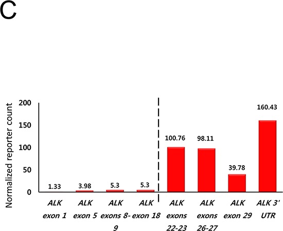 Figure 1C