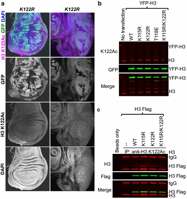 Fig. 6