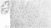 276