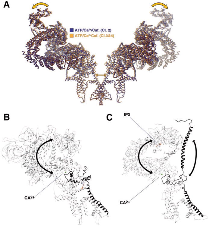 Fig. 11.4