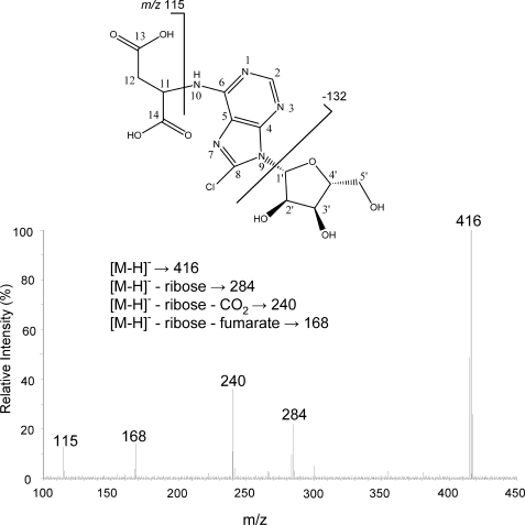 FIGURE 2.