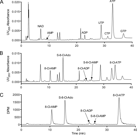 FIGURE 1.