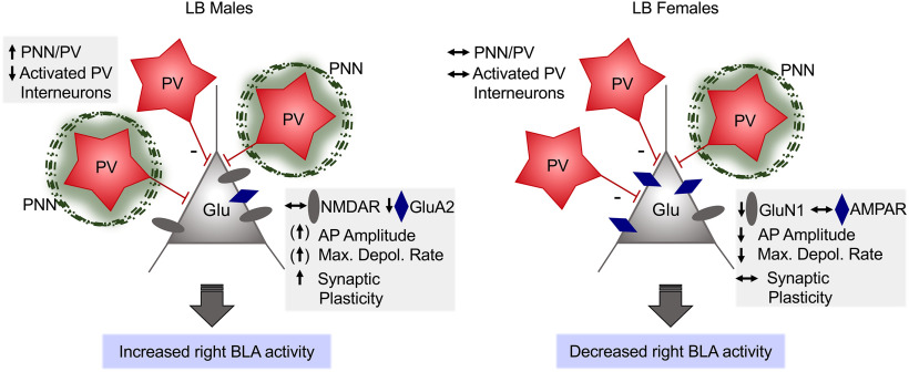 Figure 10.