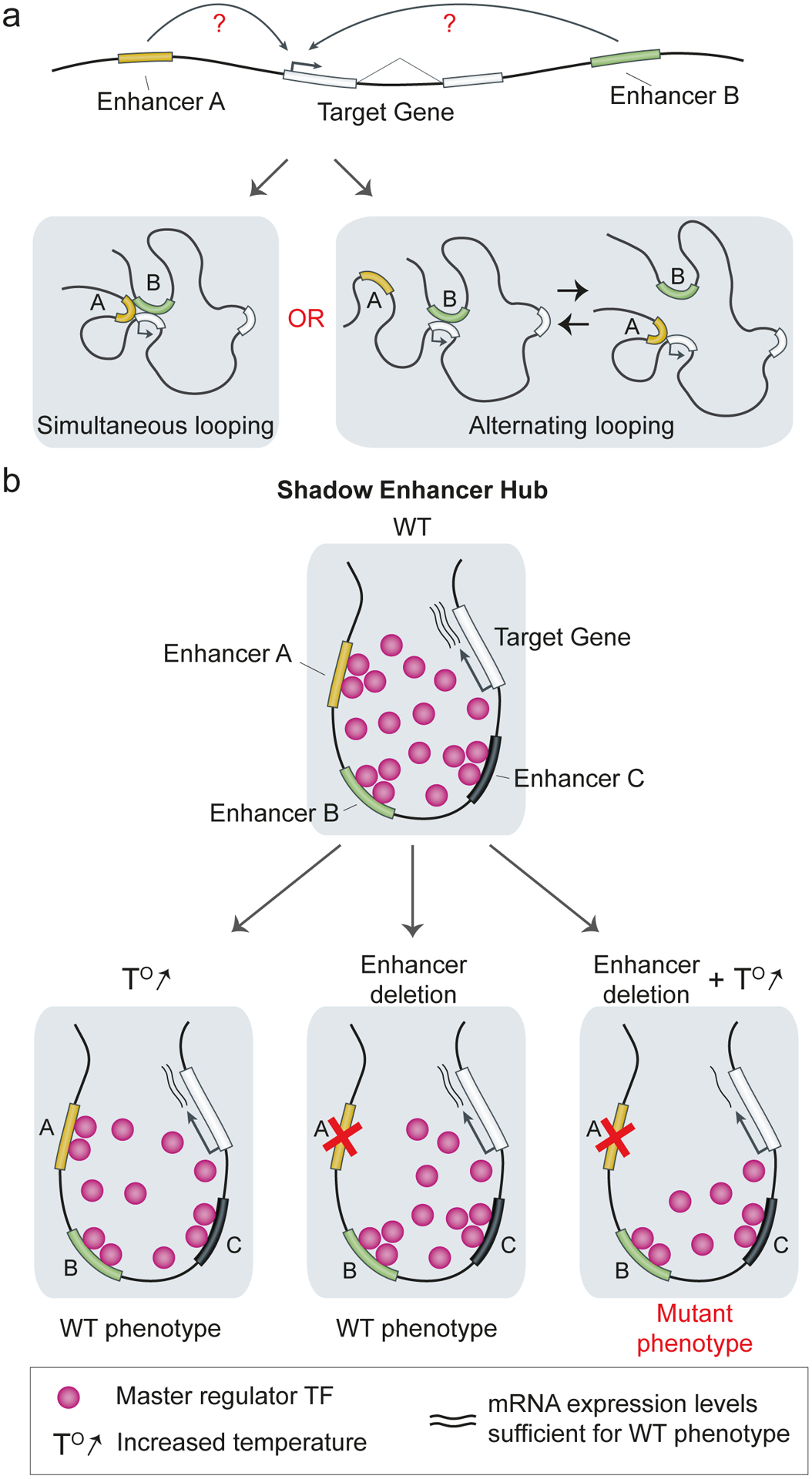 Fig. 4 |