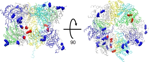 Fig. 8.