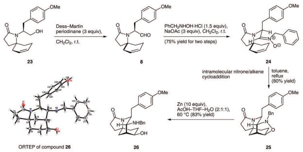 Scheme 6