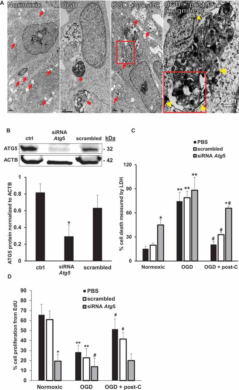 Figure 10.