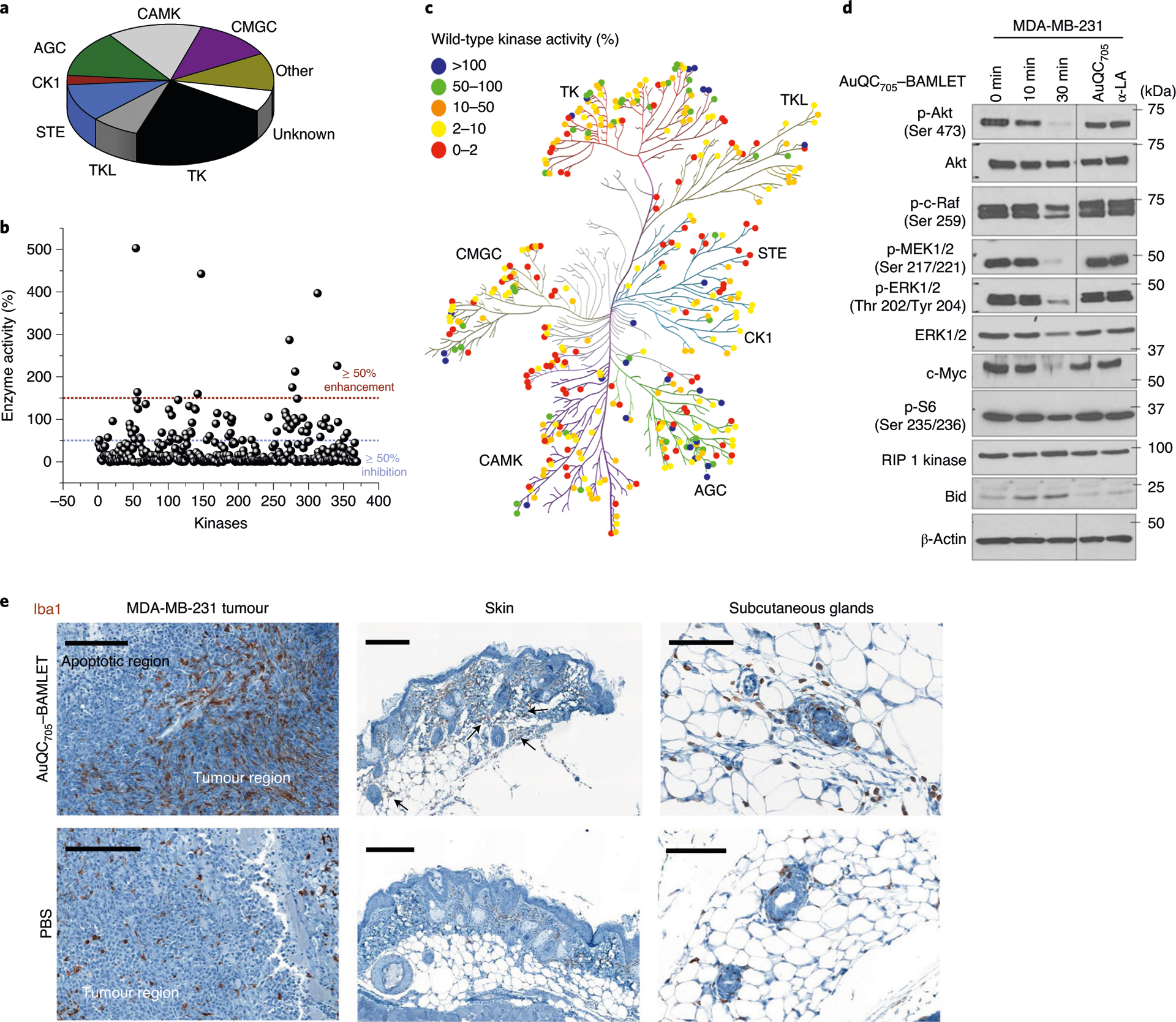 Fig. 7 |