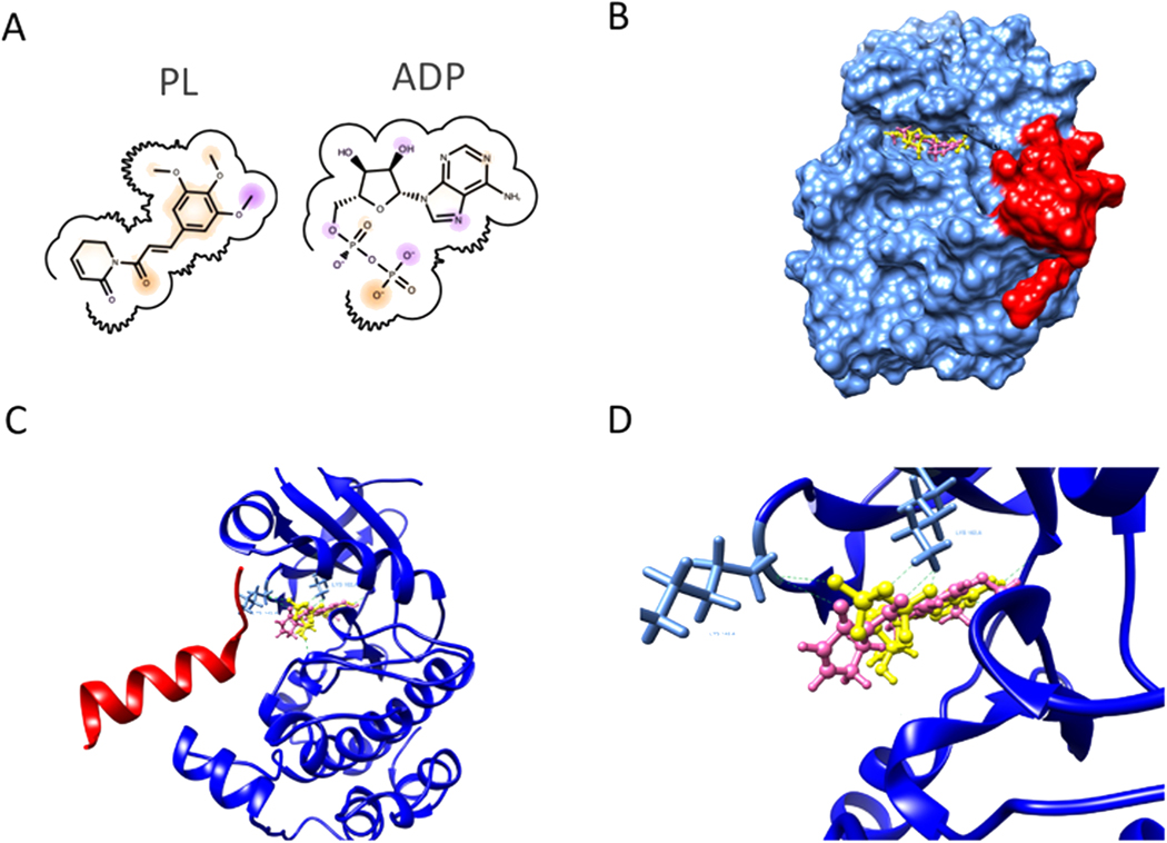 Fig. 7.