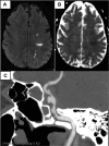 Figure 1.