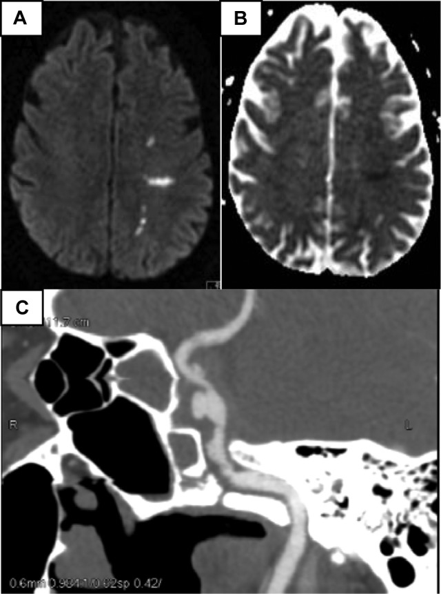 Figure 1.