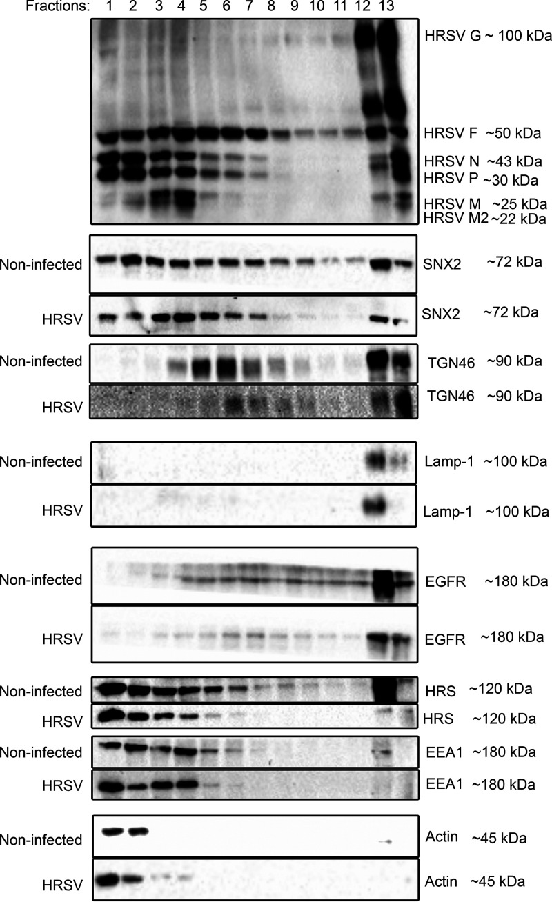 FIG 9