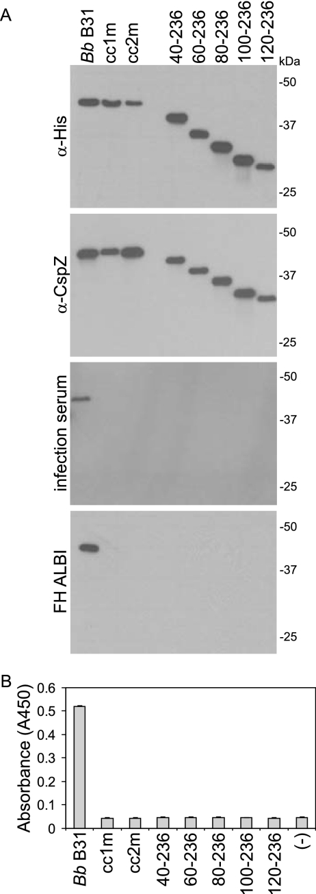 FIG. 5.