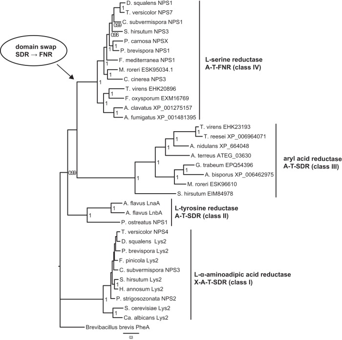 FIG 2