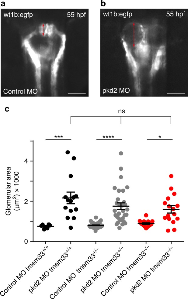 Fig. 8