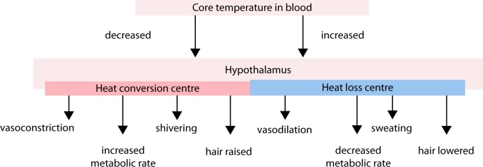 Figure 2. 