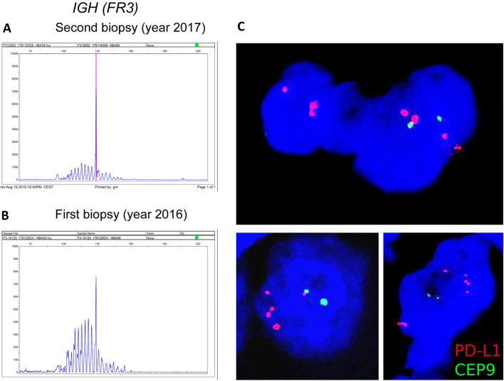 Fig. 2