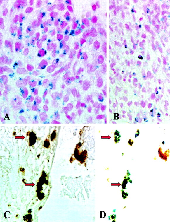 Fig 2.