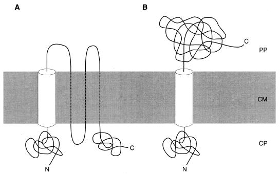 FIG. 1