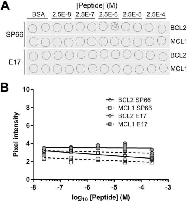 Supplemental Figure 3.