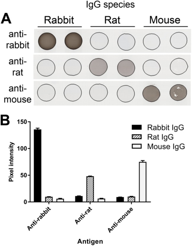 Figure 7.