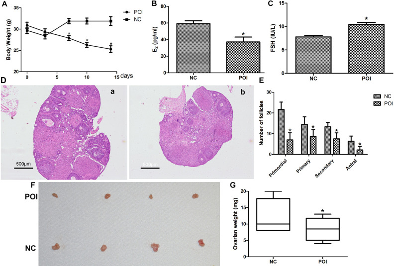 Fig. 3.