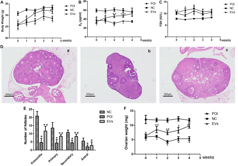 Fig. 4.