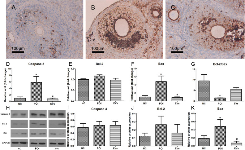 Fig. 6.