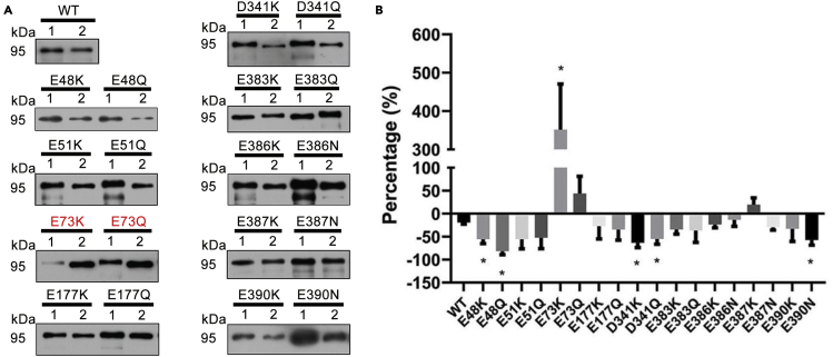 Figure 6