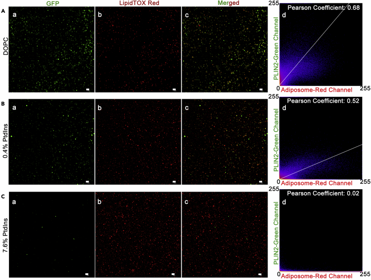 Figure 3