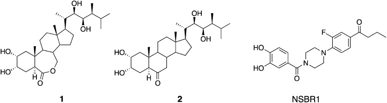 Fig. 1. Structures of brassinolide (1), castasterone (2), and a non-steroidal BL agonist, NSBR1.