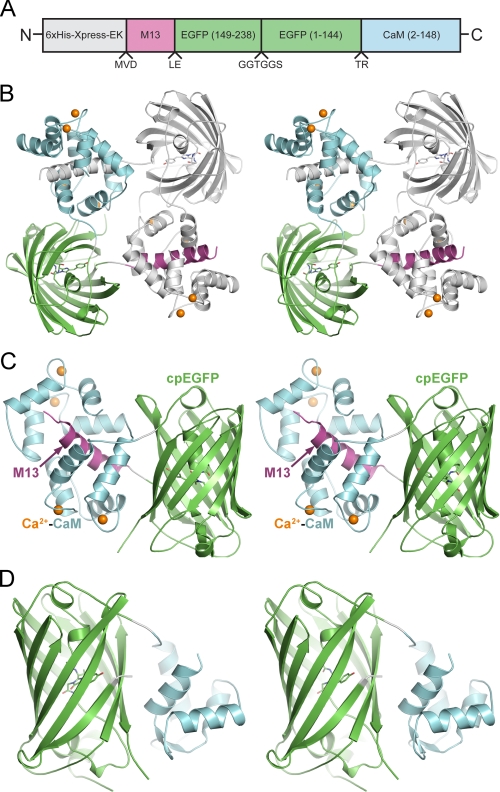 FIGURE 1.