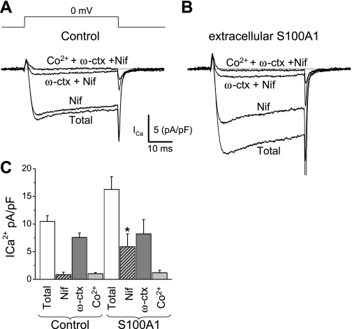 Fig. 8.