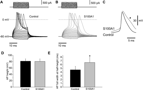 Fig. 13.