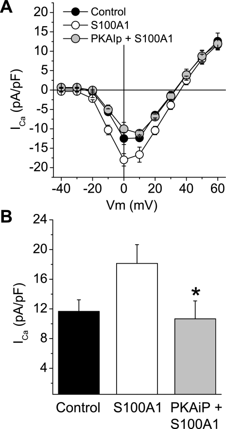 Fig. 10.