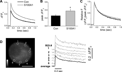 Fig. 12.