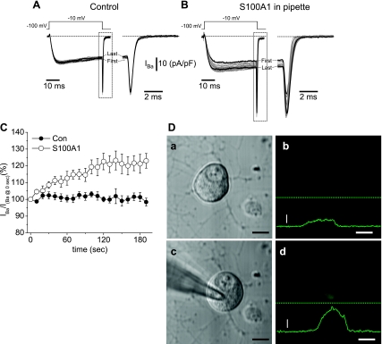 Fig. 9.