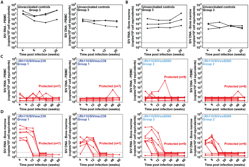 Figure 4: