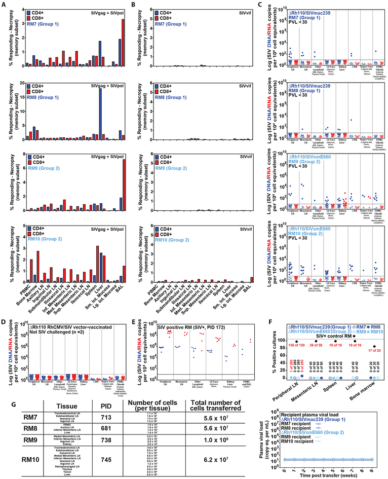 Figure 6: