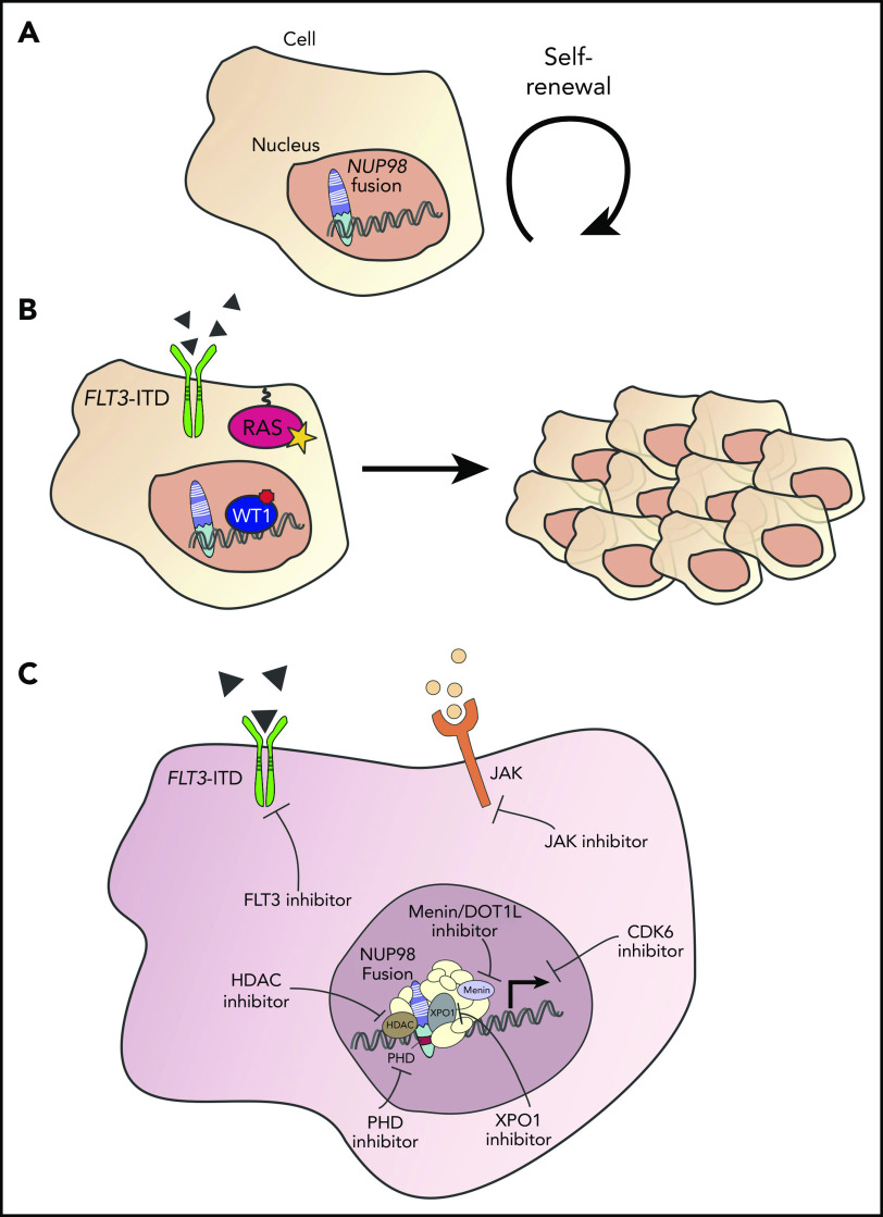 Figure 3.