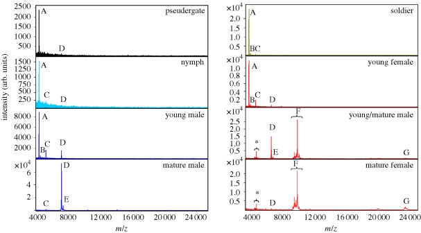 Figure 2.