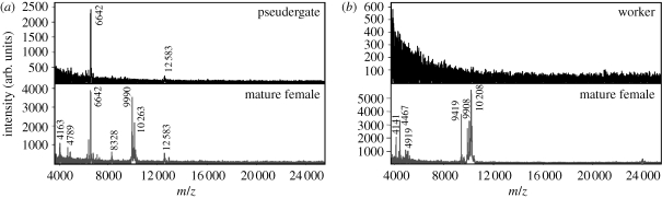 Figure 4.