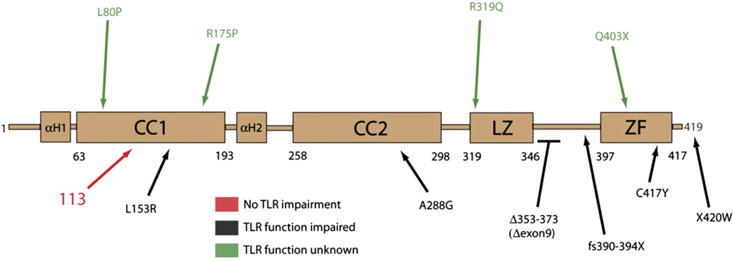 FIG 1