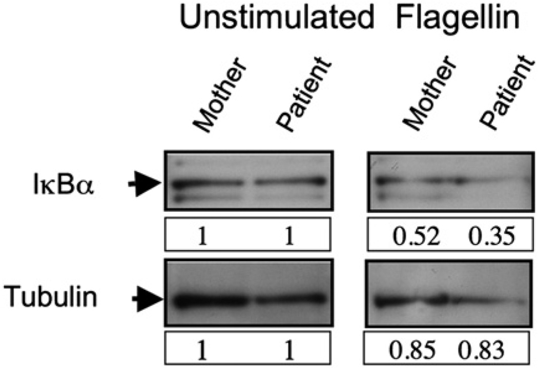 FIG 5