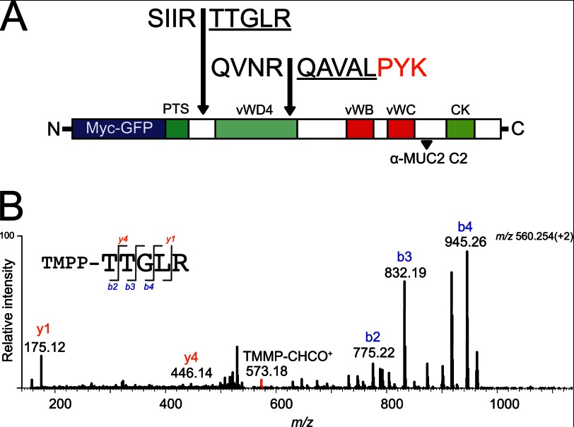 FIGURE 3.