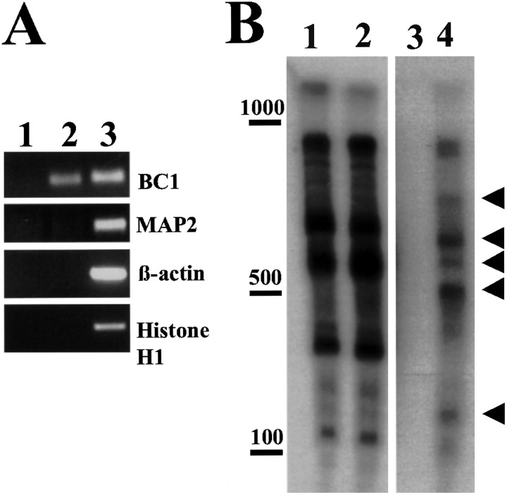 Figure 9.