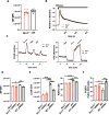Figure 3—figure supplement 2.