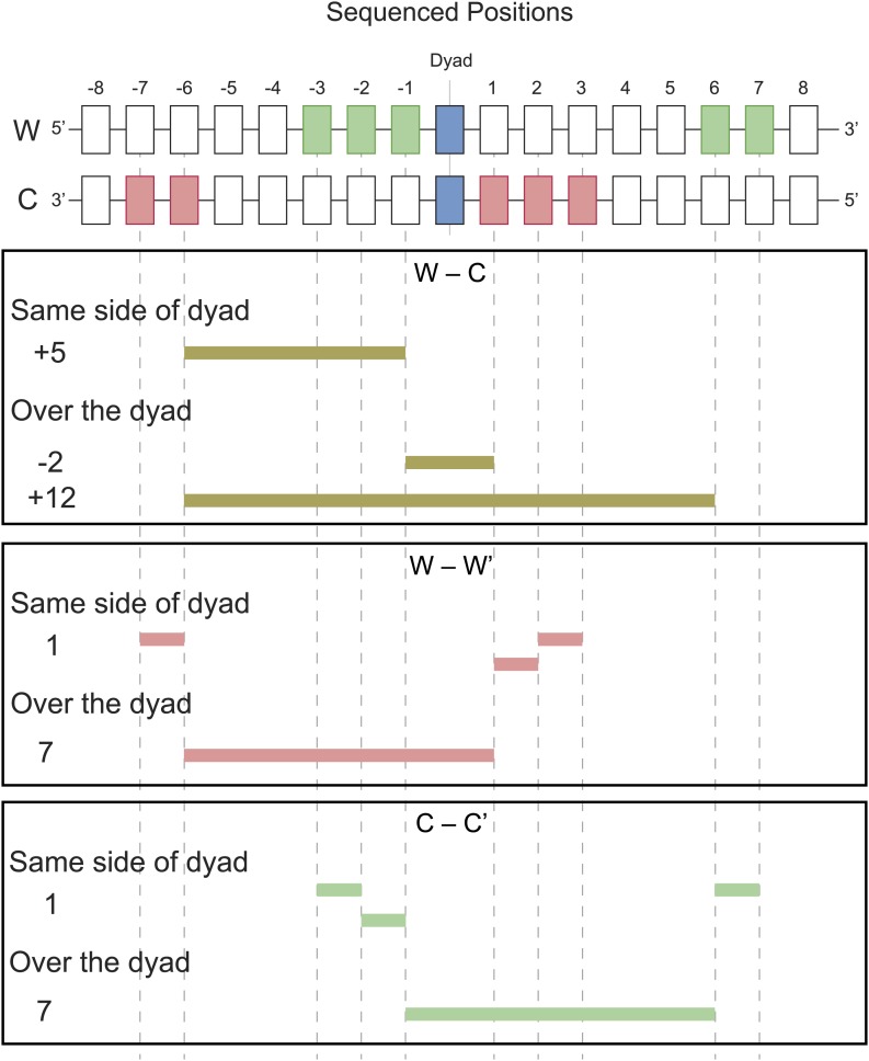 Figure 5—figure supplement 1.