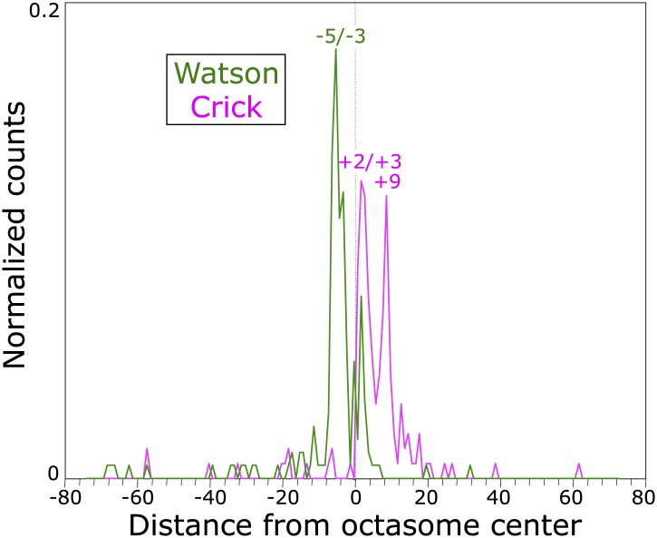 Figure 1—figure supplement 1.