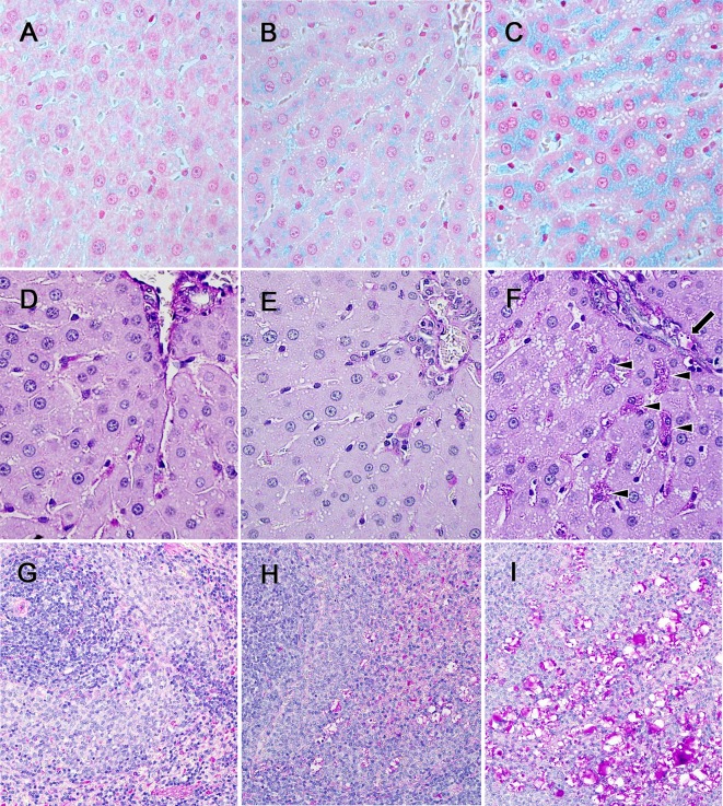 Fig. 2.